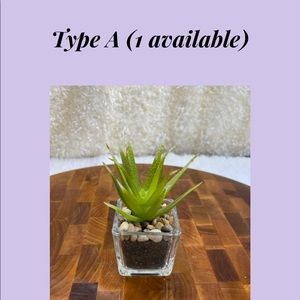 Faux Succulents in 2” glass pots.  (6 different designs available)